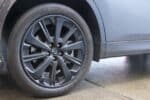 Rim Guard 005
