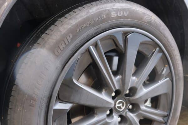 Rim Guard 006
