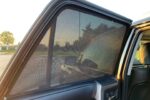 Toyota 4Runner 5th Generation Car Window Shades (N280; 2009-2024) - Image 2