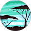 Ryan Wilson Avatar